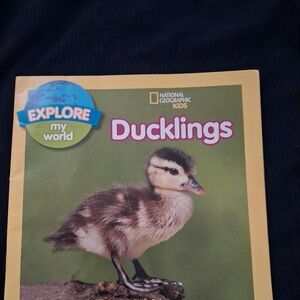 Scholastic multi Books